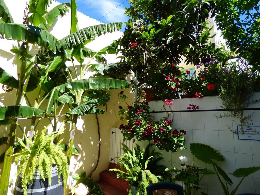 Hostal Campo Nuevo Sanlucar de Barrameda Exterior photo